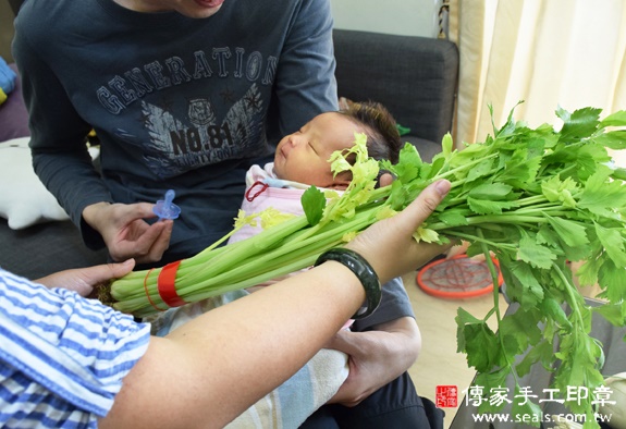 陳寶寶(台中西屯區到府嬰兒寶寶滿月剃頭理髮、免費到府嬰兒剃胎毛儀式吉祥話)。到府剃頭剃胎毛主持、專業拍照、DVD光碟、證書。★購買「臍帶章、肚臍章、胎毛筆刷印章」贈送：剃頭、收涎、抓周，三選一。2015.11.26 照片9
